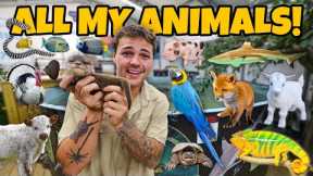 ALL of My EXOTIC ANIMALS in ONE video!!