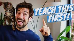 FIRST TRICK You Want to Teach Your CAT - Clicker Training Tutorial