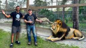 I TOURED A Private SANCTUARY In FLORIDA With BIG CATS!