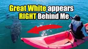A Great White Shark Appeared Right Behind My Kayak