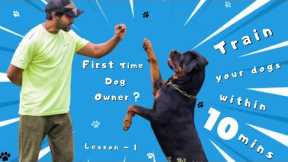 How to Train Your Dogs Basic Obedience in 10 mins | Dog Training Lesson 1 | Chatty Rotty [IN TAMIL]