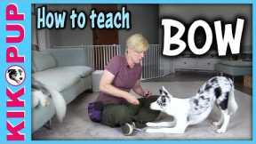 How to teach BOW  - Dog Tricks tutorial