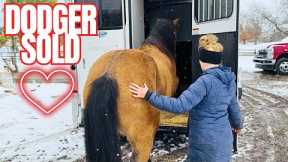 Things Are Chaotic at The Farm! Injuries, Herd Updates, & More…