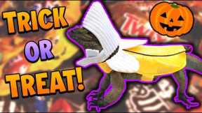 Our Reptiles go Trick-or-Treating for Halloween!
