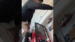 Feeding pet snake goes wrong 🐍😂😂😂 #funny #helpmemakethismakesense #snakes #animals #lilcrank