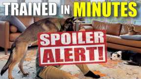 How to Teach Your Dog the Cutest Trick On Earth (No, Seriously)