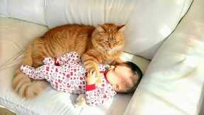 When Cats Prove They're the Best Bodyguards ❤️