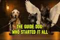 The First Guide Dog Joins From The