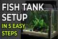 Setting Up Your First Fish Tank?