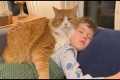 Cutest Cat & Kid Bonding Moments