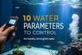 10 Aquarium Water Parameters to