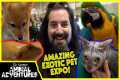 Touring the COOLEST EXOTIC PET EXPO!