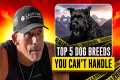 Top 5 Dog Breeds That Will Break You