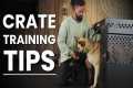 Top Tips for Crate Training