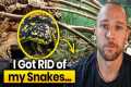 I got rid of my snakes - They didn’t