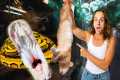 Feeding Giant Snakes and Lizards at