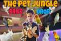 Price Drop at The Pet Jungle | Get