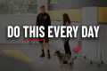 Dog Training Is Easy - If You Do This 