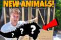 BUYING NEW EXOTIC ANIMALS!