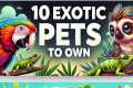 Top 10 Best Exotic Pets for Your