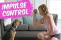 Teach Your Puppy Impulse Control: