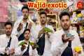wajid exotic new video exotic birds