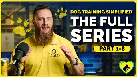 Dog Training Simplified: Why Most Dog Trainers Fail and What You Need to Know | FULL SERIES