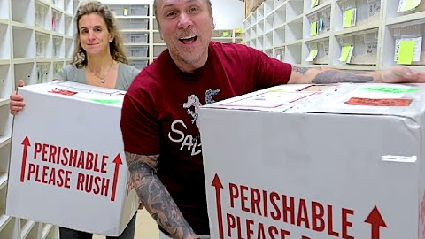 UNBOXING 107 SNAKES!! | BRIAN BARCZYK