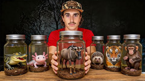 I Bought the Deadliest Creatures On the Dark Web! 