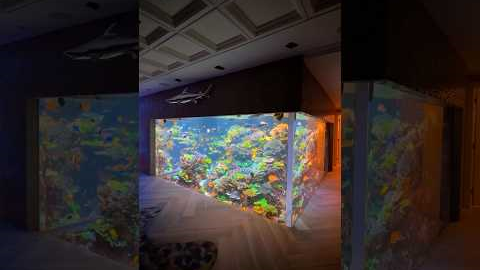 17,000 Gallon Reef Tank 🪸🐠