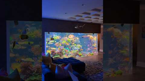 17,000 Gallon Saltwater Aquarium 🪸🐠