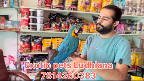 Exotic pets Ludhiana || PETSHOP LUDHIANA || Full accessories , DOGS,CATS ￼ and EXOTIC ENIMAL 