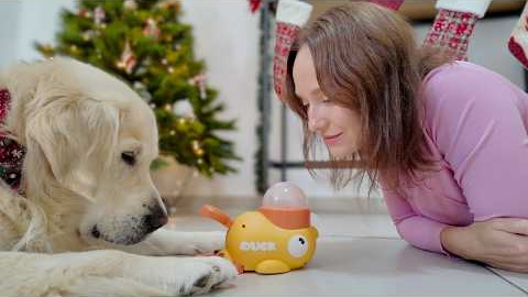 Funny Attempts to Teach My Dog How to Push a Button