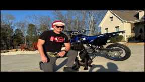 Live Christmas Dog Training!