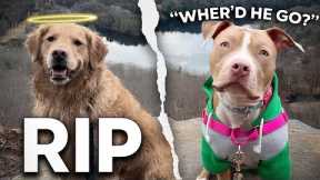 After Tragedy, She Became Dangerous—Can I Help?