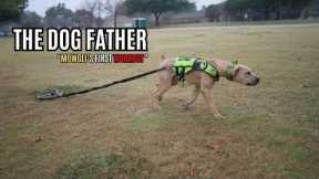 The Dog Father: Mowgli's First Workout (Ep. 70)