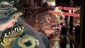I Got a PRIVATE TOUR of the WORLDS TOP REPTILE ZOO!