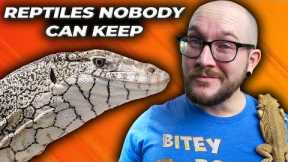 5 Reptiles NOBODY Can Own as Pets! Get These Instead!