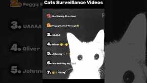 Ranking Best Cats Surveillance Videos