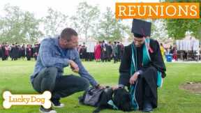 Brandon McMillan REACTS To Service Dog Who Changed Student's Life | Lucky Dog Reunions