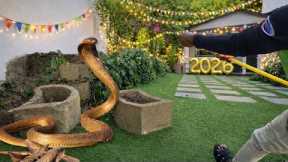 Deadly Snake on New Years Eve