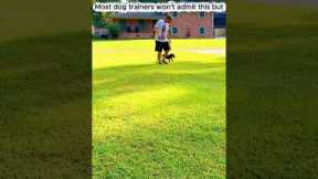 This loose leash technique is too effective to teach #dogtraining #puppytraining #hack