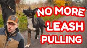 Teach Your Puppy Loose Leash Walking the RIGHT Way