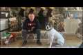 Live Aggressive Dog Training Q&A