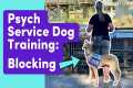 Psychiatric Service Dog Task