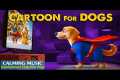 Cartoon for Dogs: Relaxing Dog TV to