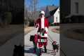 Santa's Secret To Calm Walks Revealed!