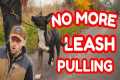 Teach Your Puppy Loose Leash Walking