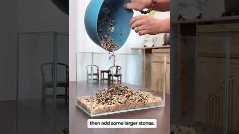 How to build a fish tank