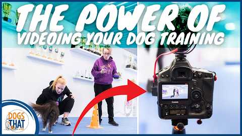 Video Your Dog Training! Complete Guide To Videoing, Reviewing & Improving Every Session